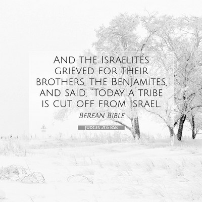 Picture 07 - Judges 21:6 BSB - And the Israelites grieved for their brothers, - Bible Verse Picture