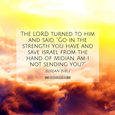 Picture 07 - Judges 6:14 BSB - The LORD turned to him and said, “Go in the - Bible Verse Picture