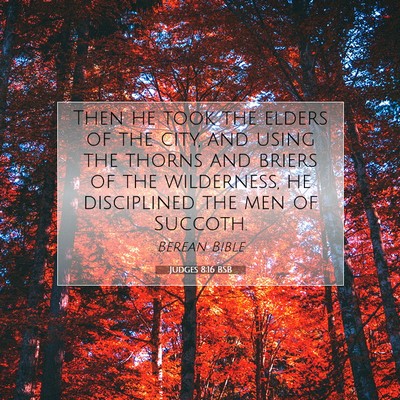 Picture 07 - Judges 8:16 BSB - Then he took the elders of the city, and using - Bible Verse Picture