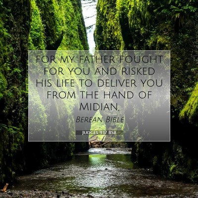 Picture 07 - Judges 9:17 BSB - for my father fought for you and risked his life - Bible Verse Picture