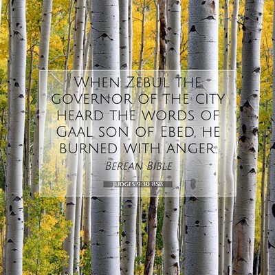 Picture 07 - Judges 9:30 BSB - When Zebul the governor of the city heard the - Bible Verse Picture