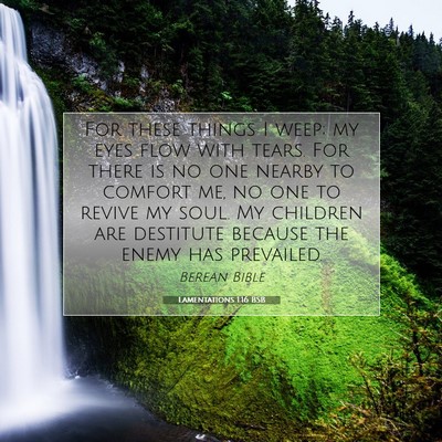 Picture 07 - Lamentations 1:16 BSB - For these things I weep; my eyes flow with tears. - Bible Verse Picture