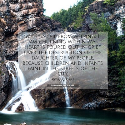 Picture 07 - Lamentations 2:11 BSB - My eyes fail from weeping; I am churning within. - Bible Verse Picture