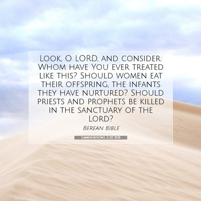 Picture 07 - Lamentations 2:20 BSB - Look, O LORD, and consider: Whom have You ever - Bible Verse Picture