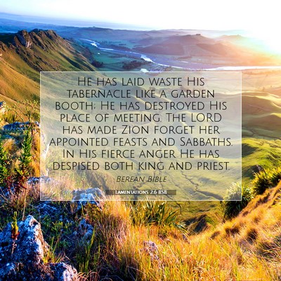 Picture 07 - Lamentations 2:6 BSB - He has laid waste His tabernacle like a garden - Bible Verse Picture