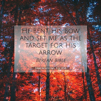 Picture 07 - Lamentations 3:12 BSB - He bent His bow and set me as the target for His - Bible Verse Picture