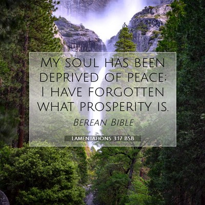 Picture 07 - Lamentations 3:17 BSB - My soul has been deprived of peace; I have - Bible Verse Picture
