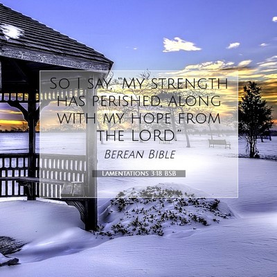 Picture 07 - Lamentations 3:18 BSB - So I say, “My strength has perished, along with - Bible Verse Picture
