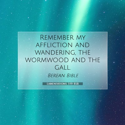Picture 07 - Lamentations 3:19 BSB - Remember my affliction and wandering, the - Bible Verse Picture