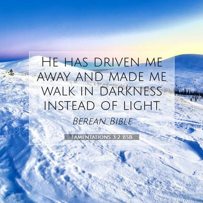 Picture 07 - Lamentations 3:2 BSB - He has driven me away and made me walk in - Bible Verse Picture