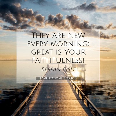 Picture 07 - Lamentations 3:23 BSB - They are new every morning; great is Your - Bible Verse Picture