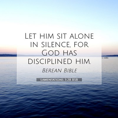 Picture 07 - Lamentations 3:28 BSB - Let him sit alone in silence, for God has - Bible Verse Picture
