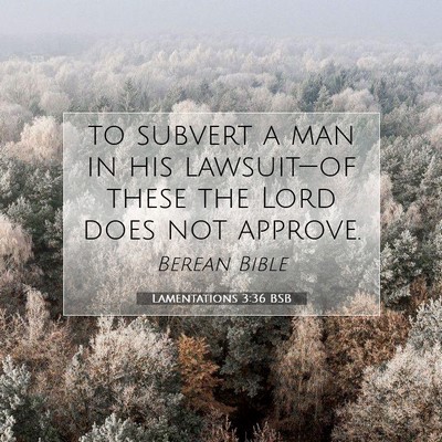 Picture 07 - Lamentations 3:36 BSB - to subvert a man in his lawsuit—of these the - Bible Verse Picture
