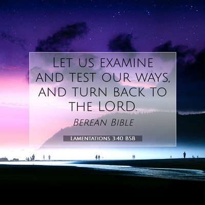 Picture 07 - Lamentations 3:40 BSB - Let us examine and test our ways, and turn back - Bible Verse Picture