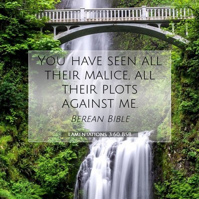 Picture 07 - Lamentations 3:60 BSB - You have seen all their malice, all their plots - Bible Verse Picture