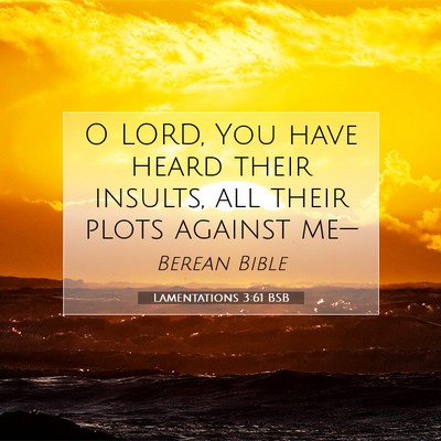 Picture 07 - Lamentations 3:61 BSB - O LORD, You have heard their insults, all their - Bible Verse Picture