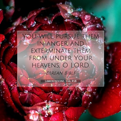 Picture 07 - Lamentations 3:66 BSB - You will pursue them in anger and exterminate - Bible Verse Picture
