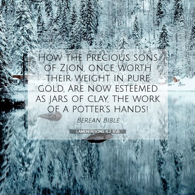 Picture 07 - Lamentations 4:2 BSB - How the precious sons of Zion, once worth their - Bible Verse Picture