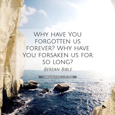 Picture 07 - Lamentations 5:20 BSB - Why have You forgotten us forever? Why have You - Bible Verse Picture