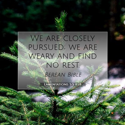 Picture 07 - Lamentations 5:5 BSB - We are closely pursued; we are weary and find no - Bible Verse Picture