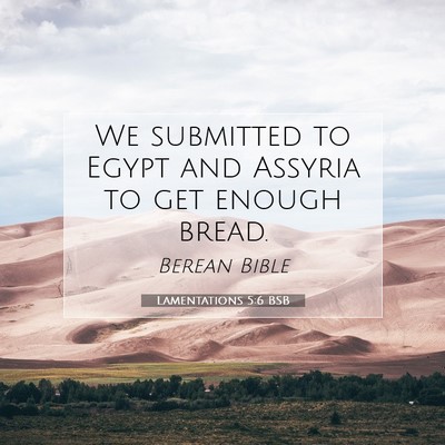 Picture 07 - Lamentations 5:6 BSB - We submitted to Egypt and Assyria to get enough - Bible Verse Picture