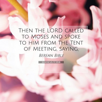 Picture 07 - Leviticus 1:1 BSB - Then the LORD called to Moses and spoke to him - Bible Verse Picture