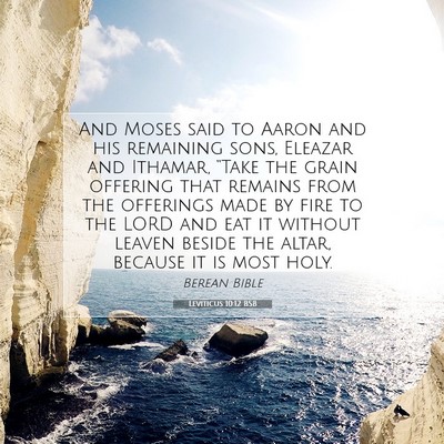 Picture 07 - Leviticus 10:12 BSB - And Moses said to Aaron and his remaining sons, - Bible Verse Picture