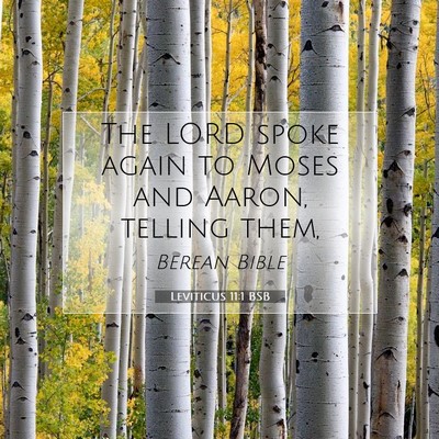 Picture 07 - Leviticus 11:1 BSB - The LORD spoke again to Moses and Aaron, telling - Bible Verse Picture