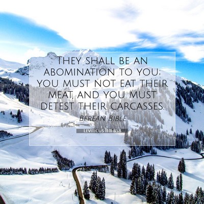 Picture 07 - Leviticus 11:11 BSB - They shall be an abomination to you; you must not - Bible Verse Picture