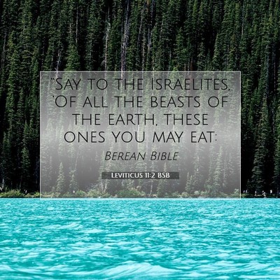 Picture 07 - Leviticus 11:2 BSB - “Say to the Israelites, ‘Of all the beasts of - Bible Verse Picture