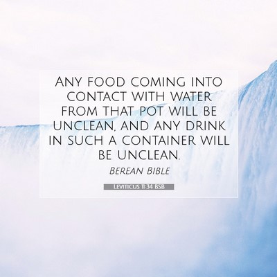 Picture 07 - Leviticus 11:34 BSB - Any food coming into contact with water from that - Bible Verse Picture
