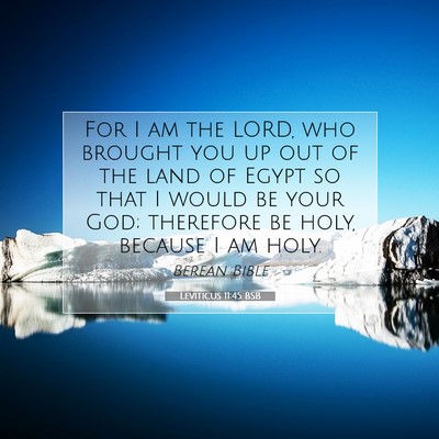 Picture 07 - Leviticus 11:45 BSB - For I am the LORD, who brought you up out of the - Bible Verse Picture