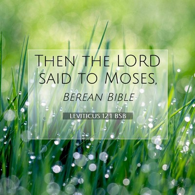 Picture 07 - Leviticus 12:1 BSB - Then the LORD said to - Bible Verse Picture