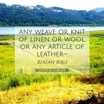 Picture 07 - Leviticus 13:48 BSB - any weave or knit of linen or wool, or any - Bible Verse Picture