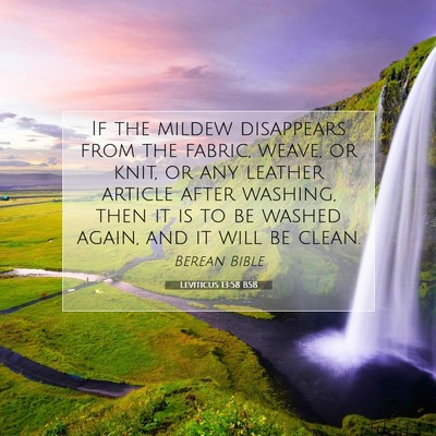 Picture 07 - Leviticus 13:58 BSB - If the mildew disappears from the fabric, weave, - Bible Verse Picture