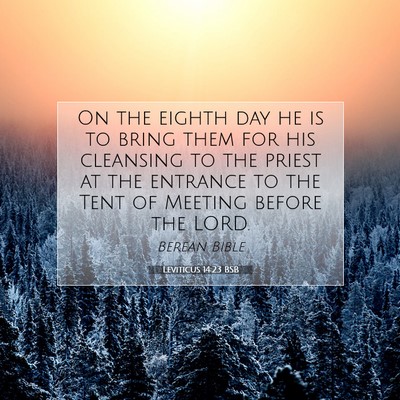 Picture 07 - Leviticus 14:23 BSB - On the eighth day he is to bring them for his - Bible Verse Picture