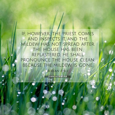 Picture 07 - Leviticus 14:48 BSB - If, however, the priest comes and inspects it, - Bible Verse Picture