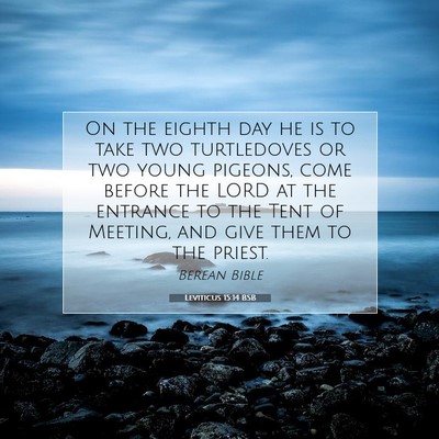 Picture 07 - Leviticus 15:14 BSB - On the eighth day he is to take two turtledoves - Bible Verse Picture