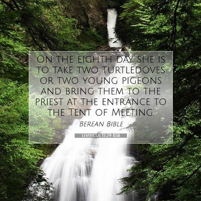 Picture 07 - Leviticus 15:29 BSB - On the eighth day she is to take two turtledoves - Bible Verse Picture