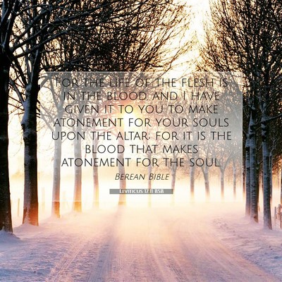 Picture 07 - Leviticus 17:11 BSB - For the life of the flesh is in the blood, and I - Bible Verse Picture