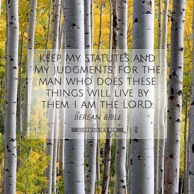 Picture 07 - Leviticus 18:5 BSB - Keep My statutes and My judgments, for the man - Bible Verse Picture