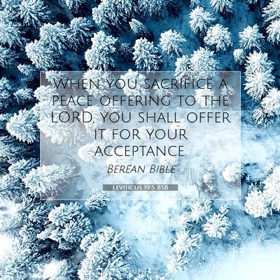 Picture 07 - Leviticus 19:5 BSB - When you sacrifice a peace offering to the LORD, - Bible Verse Picture