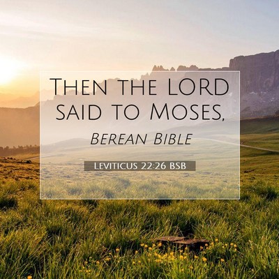 Picture 07 - Leviticus 22:26 BSB - Then the LORD said to - Bible Verse Picture