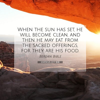 Picture 07 - Leviticus 22:7 BSB - When the sun has set, he will become clean, and - Bible Verse Picture