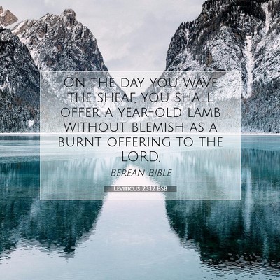 Picture 07 - Leviticus 23:12 BSB - On the day you wave the sheaf, you shall offer a - Bible Verse Picture