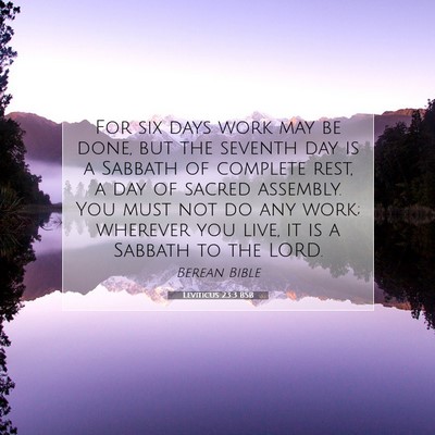 Picture 07 - Leviticus 23:3 BSB - For six days work may be done, but the seventh - Bible Verse Picture