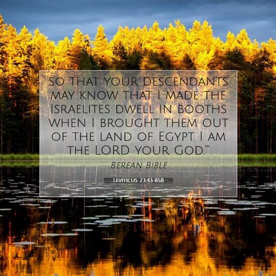 Picture 07 - Leviticus 23:43 BSB - so that your descendants may know that I made the - Bible Verse Picture