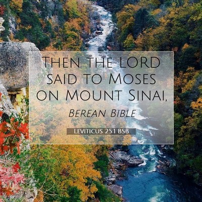 Picture 07 - Leviticus 25:1 BSB - Then the LORD said to Moses on Mount - Bible Verse Picture
