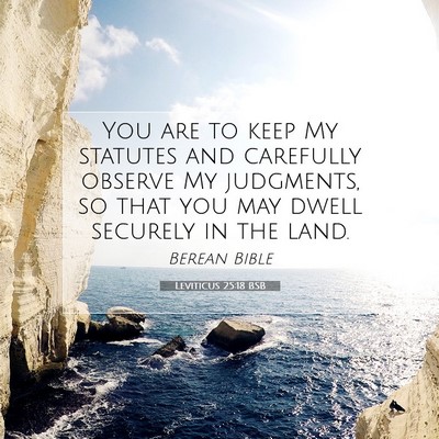 Picture 07 - Leviticus 25:18 BSB - You are to keep My statutes and carefully observe - Bible Verse Picture