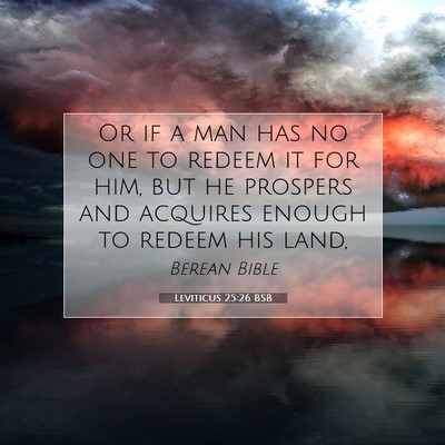 Picture 07 - Leviticus 25:26 BSB - Or if a man has no one to redeem it for him, but - Bible Verse Picture